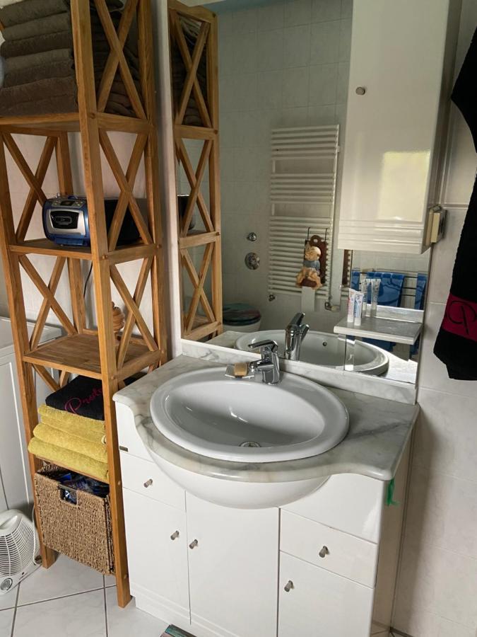 Dachterrassen Idylle Ueber Den Daechern Dresdens Eksteriør billede